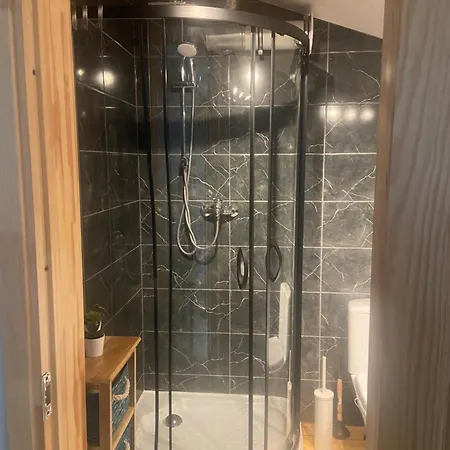公寓 Cesis City Apartment *