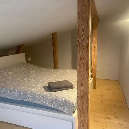 Cesis City Apartment 公寓